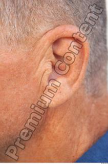 Ear texture of street references 422 0001